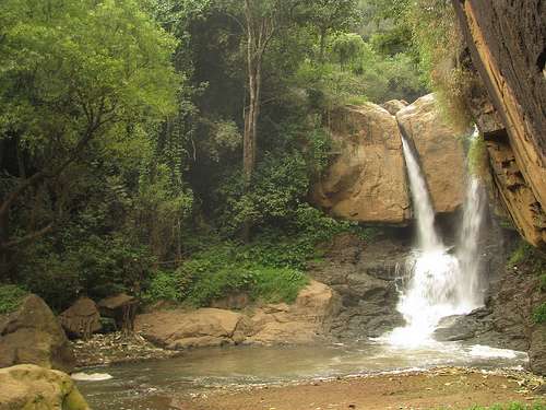 Ooty Falls