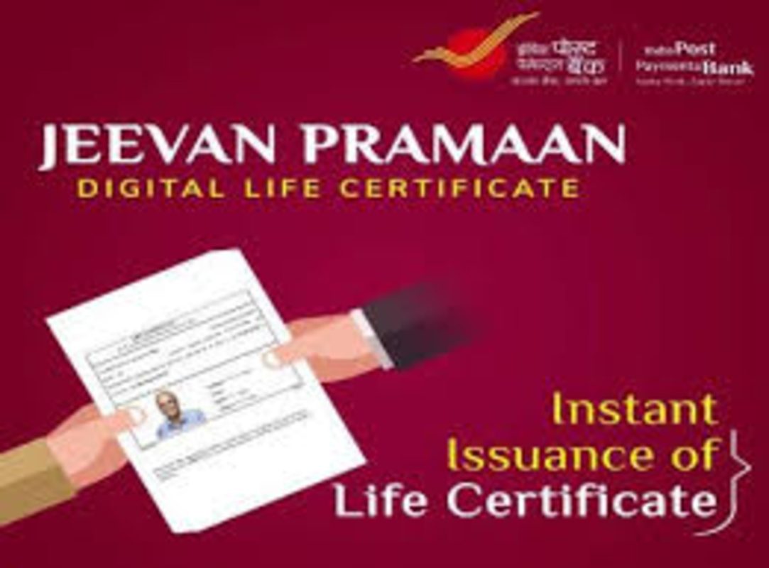 submission-of-life-certificate-and-non-employment-certificate-kvs