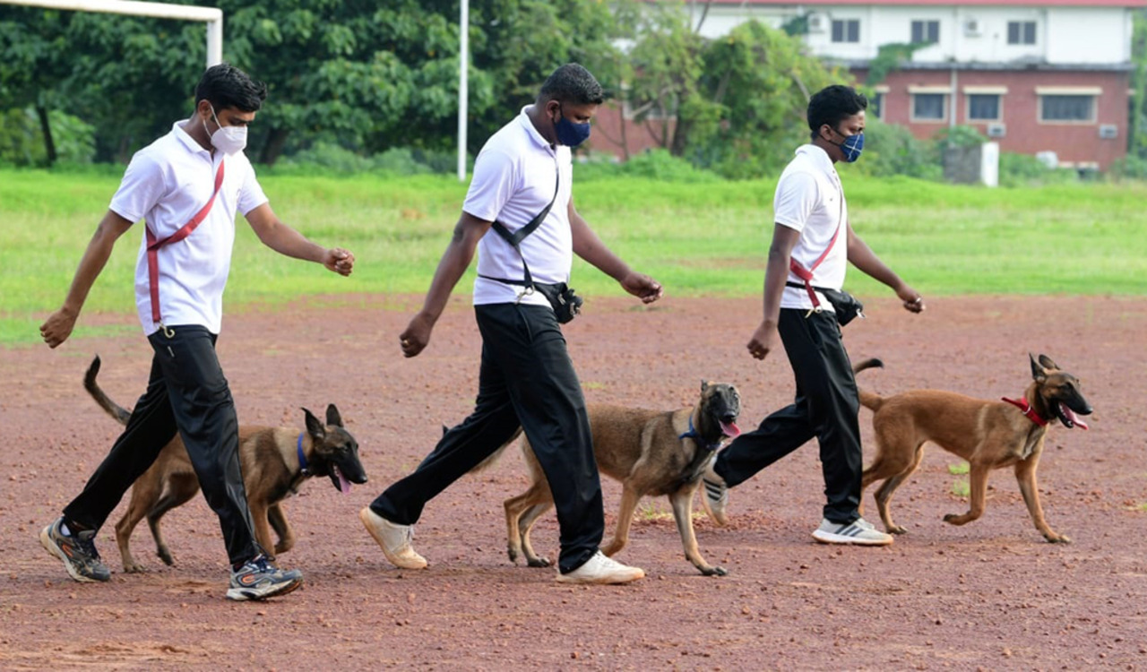 Management of Dog Squads – Modification in Standing Order No. 84 issued by DG/RPF: Railway Board